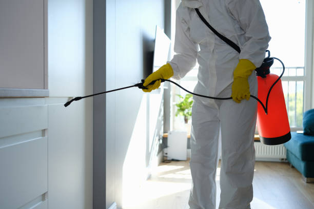 Best DIY Mold Remediation Support Services in Hooverson Heights, WV