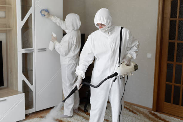 Trusted Hooverson Heights, WV Mold Remediation Experts