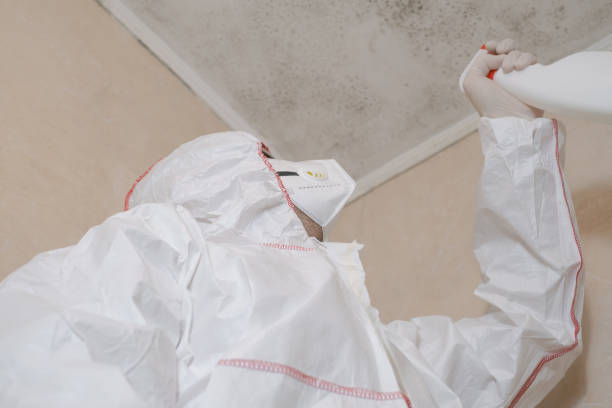 Best Crawl Space Mold Remediation in Hooverson Heights, WV