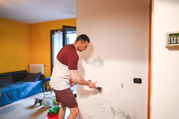 Best Bathroom Mold Remediation in Hooverson Heights, WV